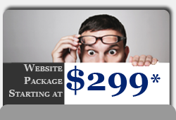 $299 Web Design