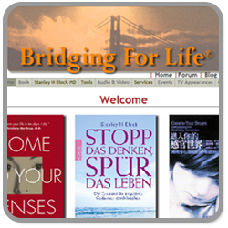 Bridging for Life