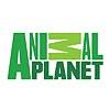 Animal Planet